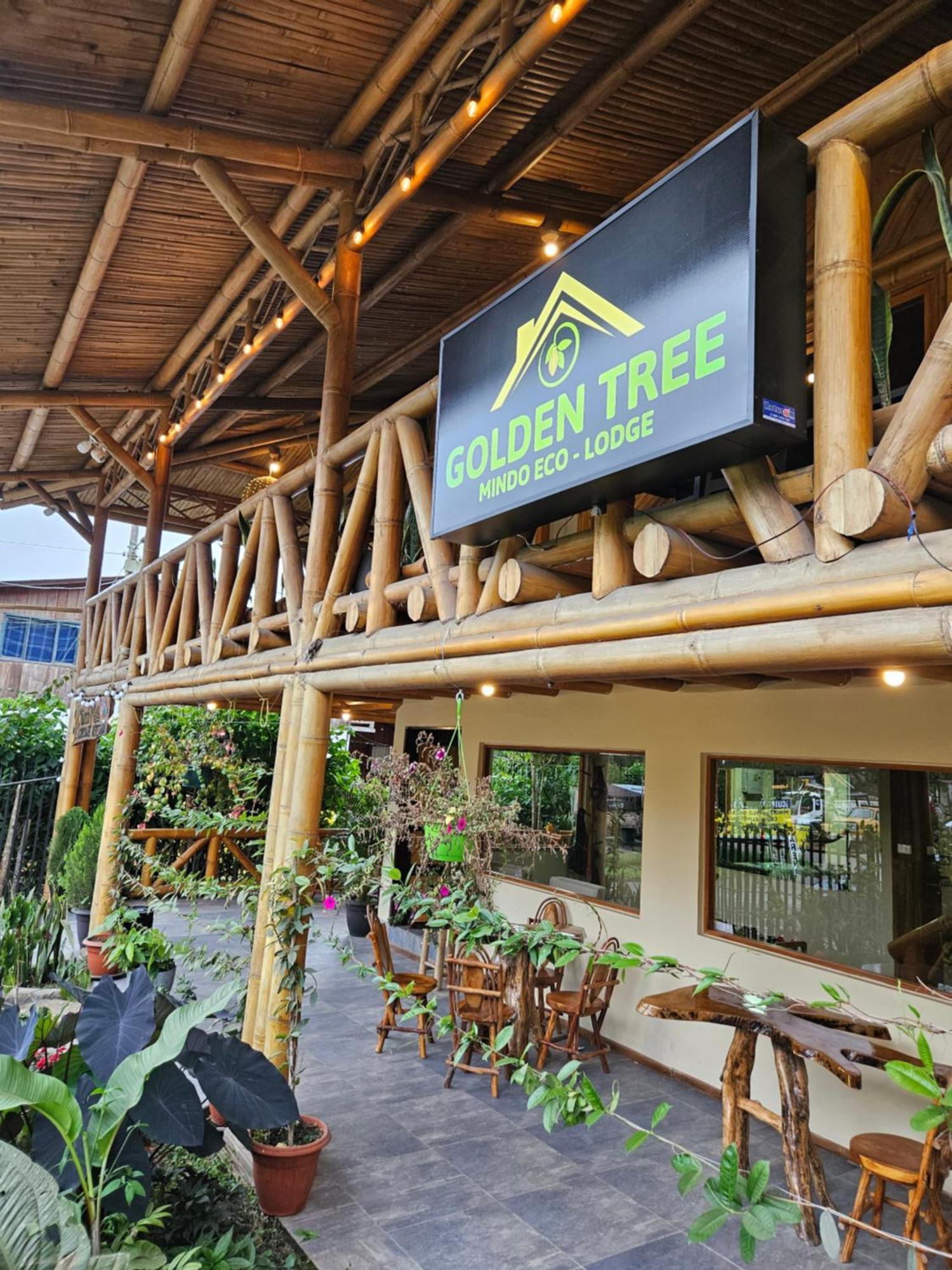 Golden Tree Mindo Eco-Lodge Exteriör bild